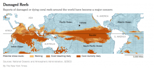 Source: NOAA, GEBCO as published in The New York Times